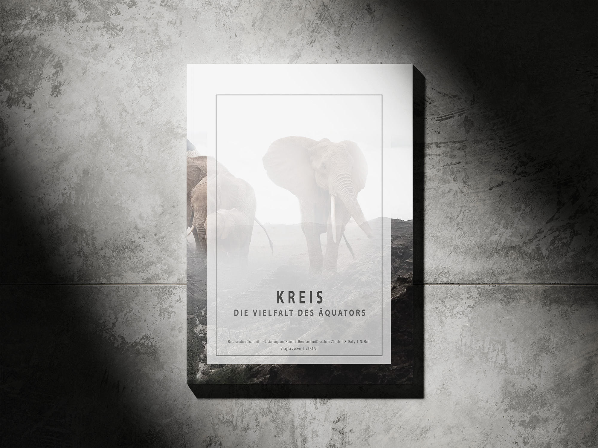 Kreis Projekt