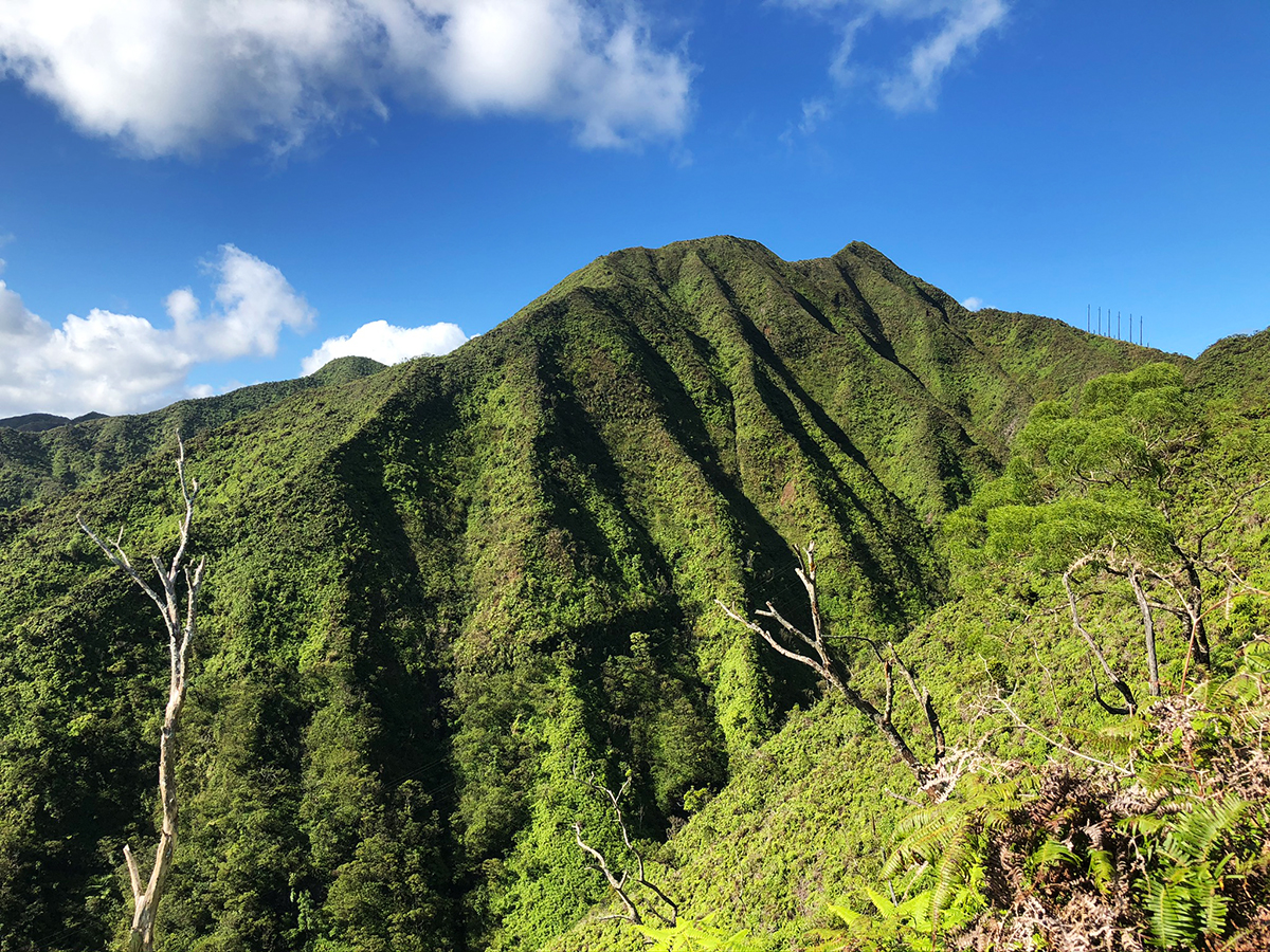 Hawaii