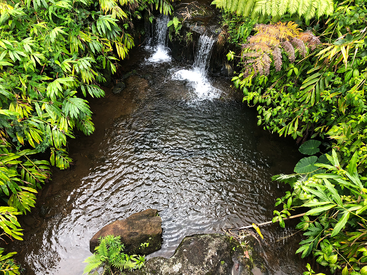 Hawaii