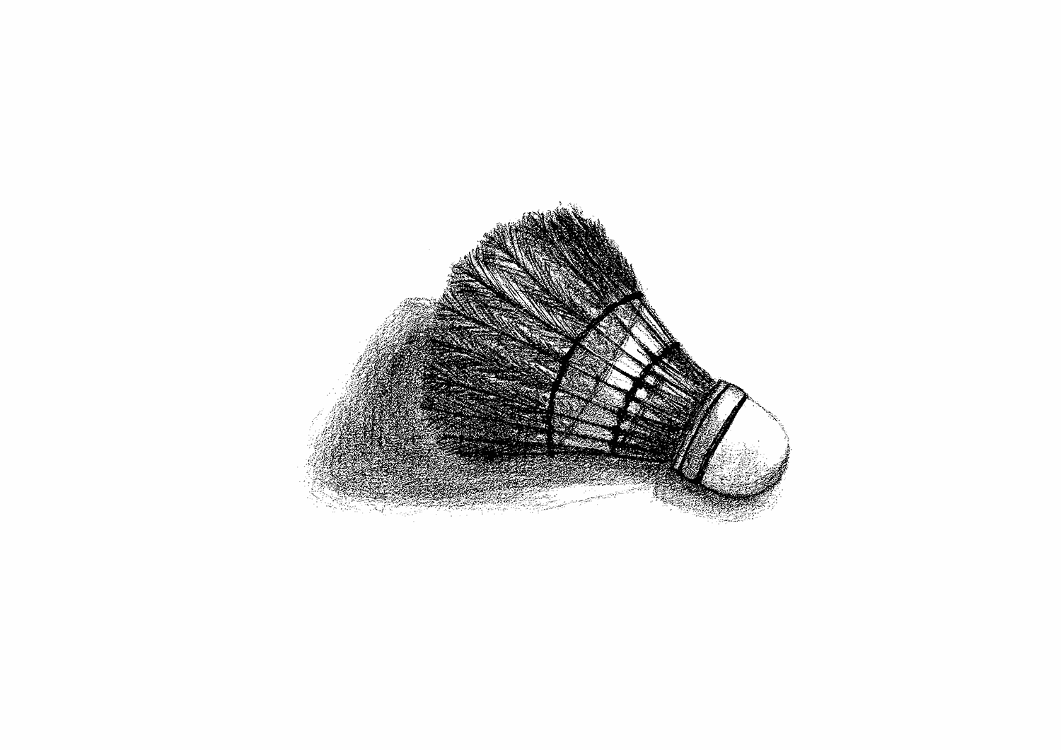 Sketch