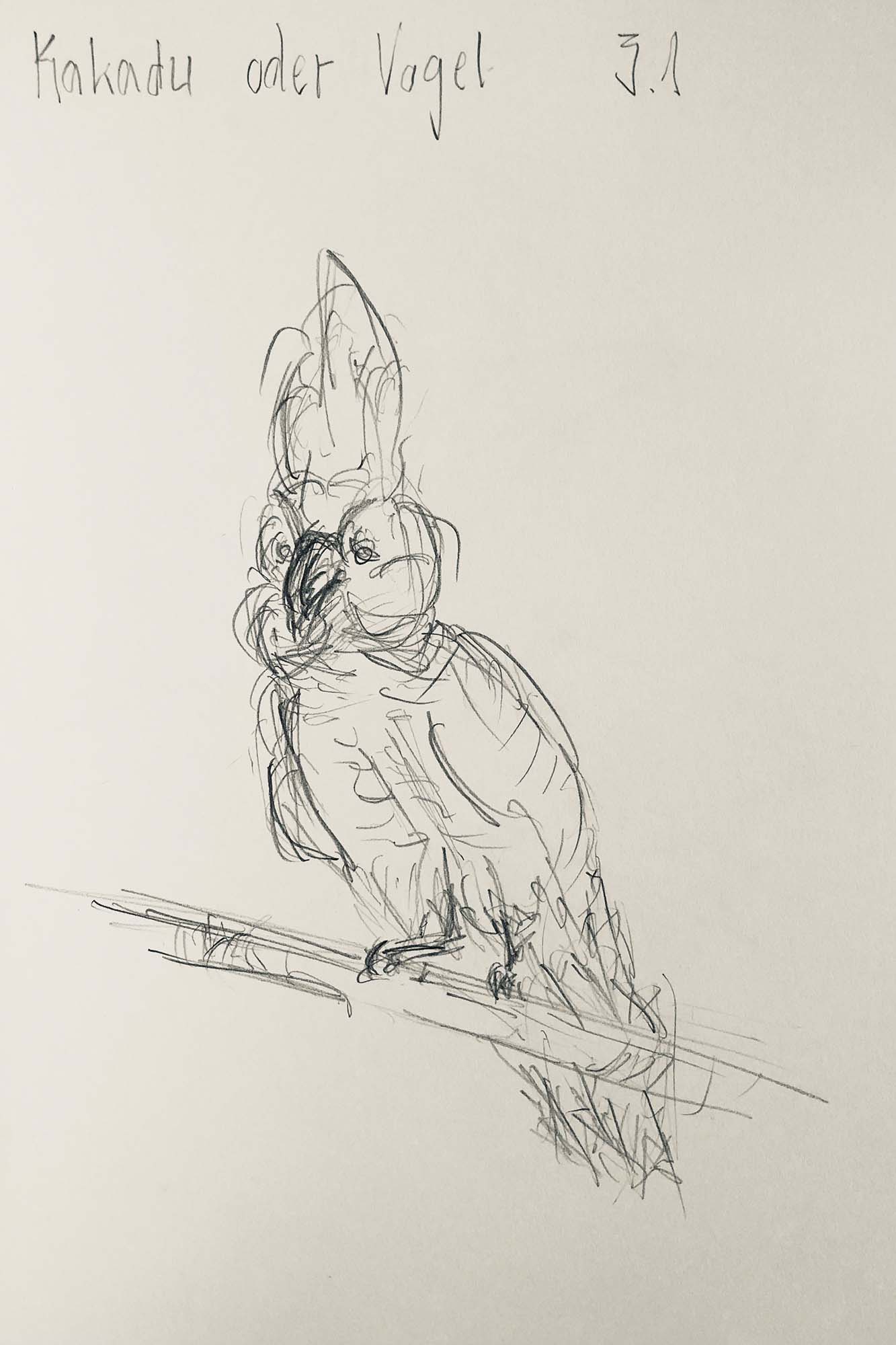 Sketch