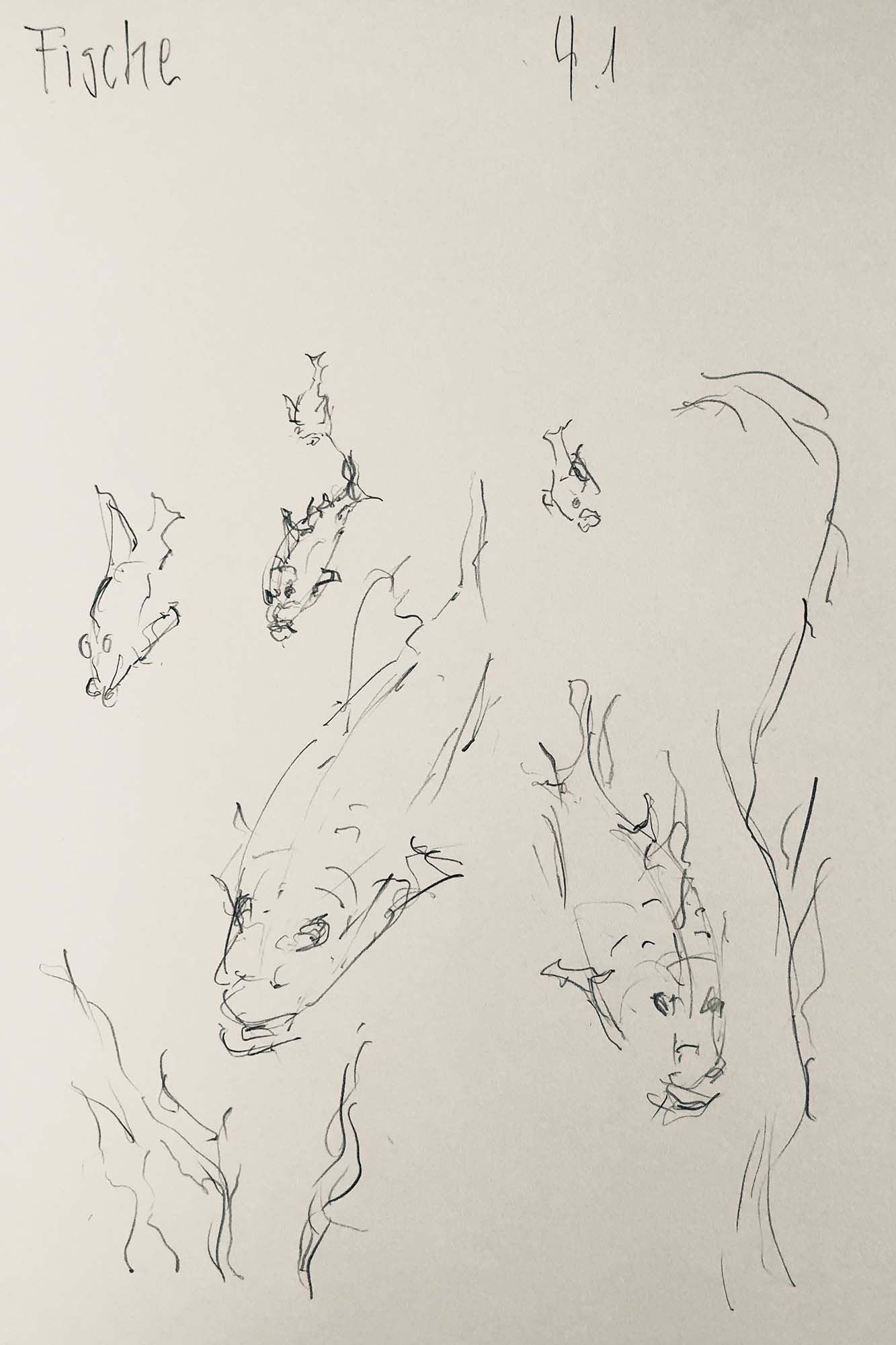Sketch