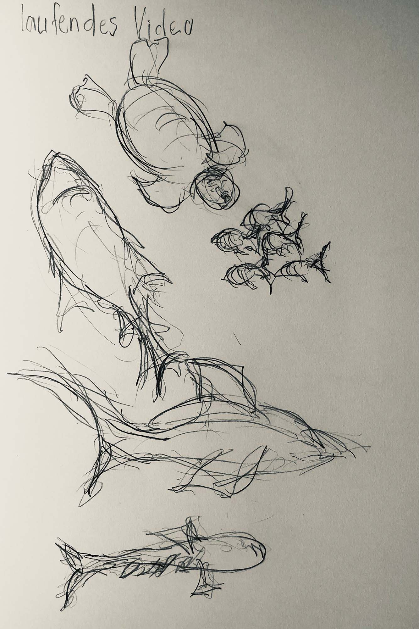 Sketch